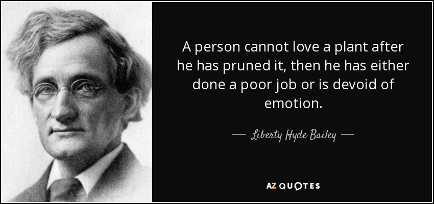 A person cannot love a plant after he has pruned it, then he has either done a poor job or is devoid of emotion. - Liberty Hyde Bailey