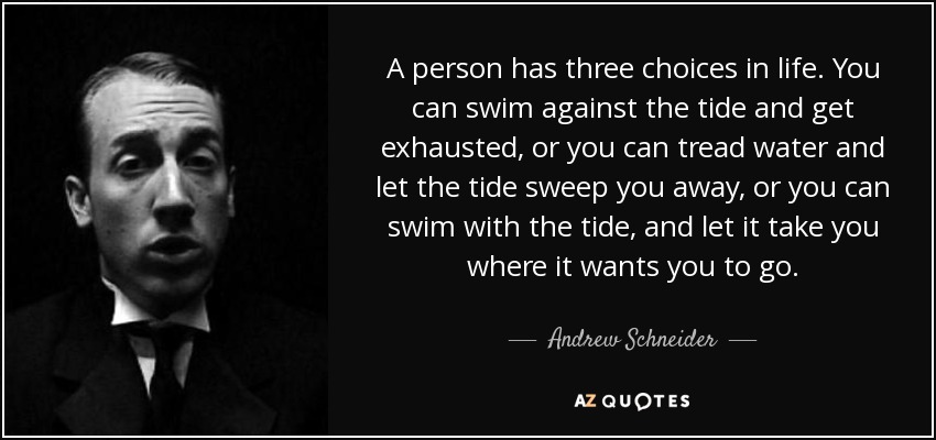 A person has three choices in life. You can swim against the tide and get exhausted, or you can tread water and let the tide sweep you away, or you can swim with the tide, and let it take you where it wants you to go. - Andrew Schneider