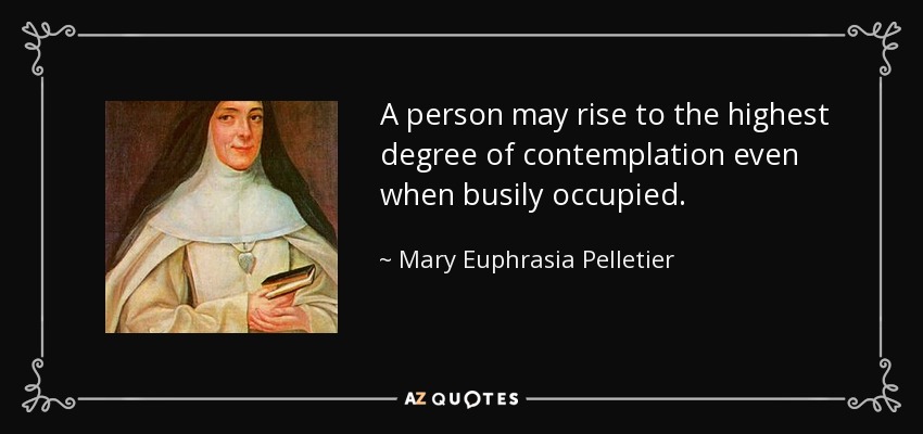 A person may rise to the highest degree of contemplation even when busily occupied. - Mary Euphrasia Pelletier