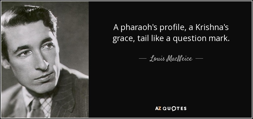 A pharaoh's profile, a Krishna's grace, tail like a question mark. - Louis MacNeice