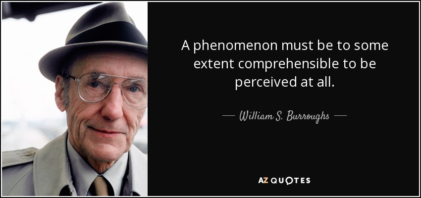 A phenomenon must be to some extent comprehensible to be perceived at all. - William S. Burroughs