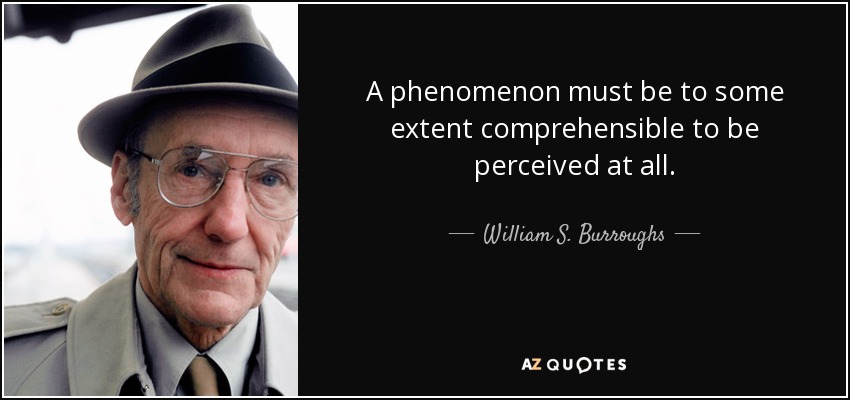 A phenomenon must be to some extent comprehensible to be perceived at all. - William S. Burroughs