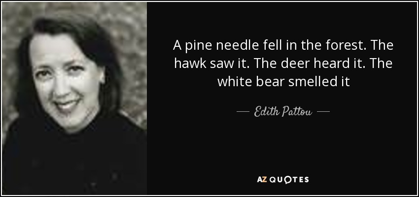 A pine needle fell in the forest. The hawk saw it. The deer heard it. The white bear smelled it - Edith Pattou