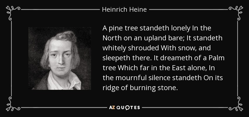 A pine tree standeth lonely In the North on an upland bare; It standeth whitely shrouded With snow, and sleepeth there. It dreameth of a Palm tree Which far in the East alone, In the mournful silence standeth On its ridge of burning stone. - Heinrich Heine