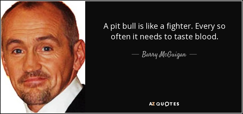 A pit bull is like a fighter. Every so often it needs to taste blood. - Barry McGuigan