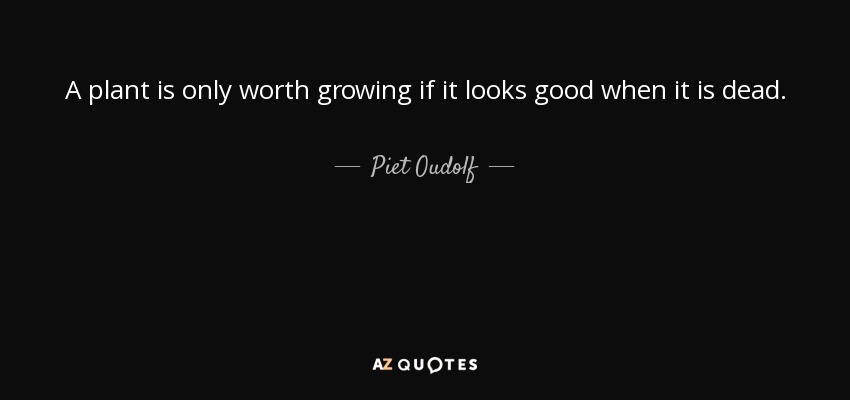 A plant is only worth growing if it looks good when it is dead. - Piet Oudolf