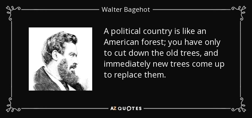 A political country is like an American forest; you have only to cut down the old trees, and immediately new trees come up to replace them. - Walter Bagehot