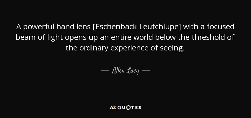 A powerful hand lens [Eschenback Leutchlupe] with a focused beam of light opens up an entire world below the threshold of the ordinary experience of seeing. - Allen Lacy