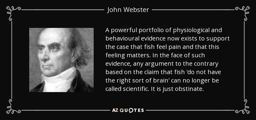 A powerful portfolio of physiological and behavioural evidence now exists to support the case that fish feel pain and that this feeling matters. In the face of such evidence, any argument to the contrary based on the claim that fish 'do not have the right sort of brain' can no longer be called scientific. It is just obstinate. - John Webster
