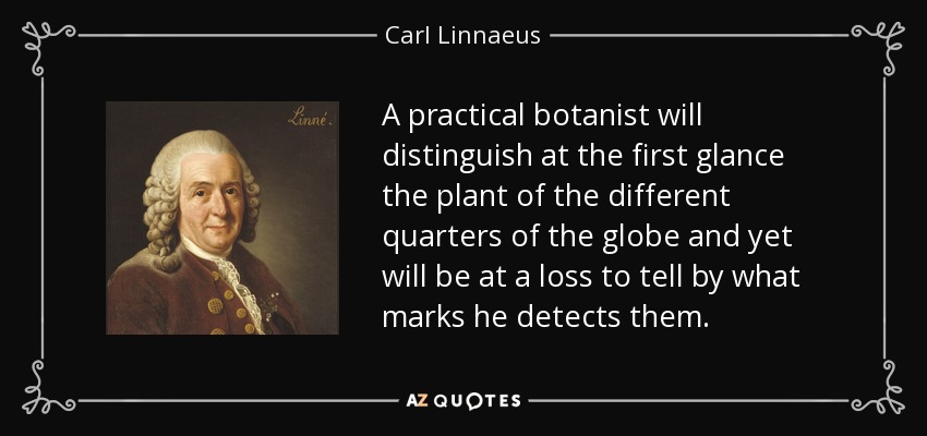 A practical botanist will distinguish at the first glance the plant of the different quarters of the globe and yet will be at a loss to tell by what marks he detects them. - Carl Linnaeus