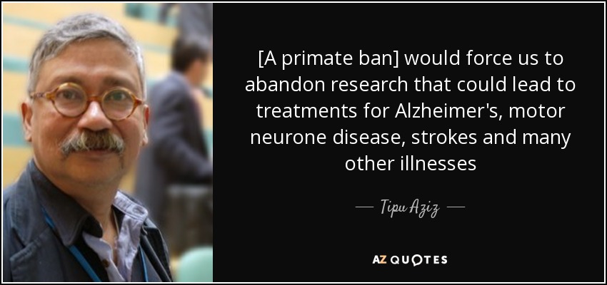 [A primate ban] would force us to abandon research that could lead to treatments for Alzheimer's, motor neurone disease, strokes and many other illnesses - Tipu Aziz