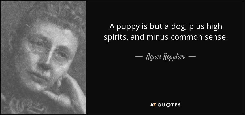 A puppy is but a dog, plus high spirits, and minus common sense. - Agnes Repplier