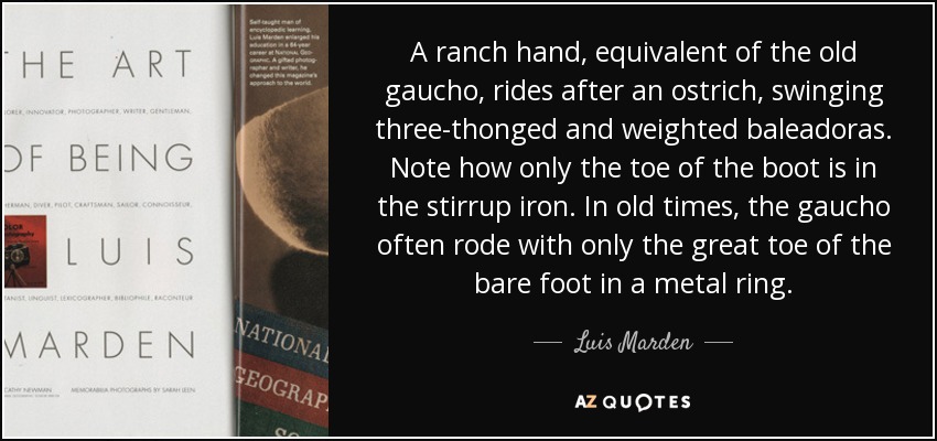 A ranch hand, equivalent of the old gaucho, rides after an ostrich, swinging three-thonged and weighted baleadoras. Note how only the toe of the boot is in the stirrup iron. In old times, the gaucho often rode with only the great toe of the bare foot in a metal ring. - Luis Marden