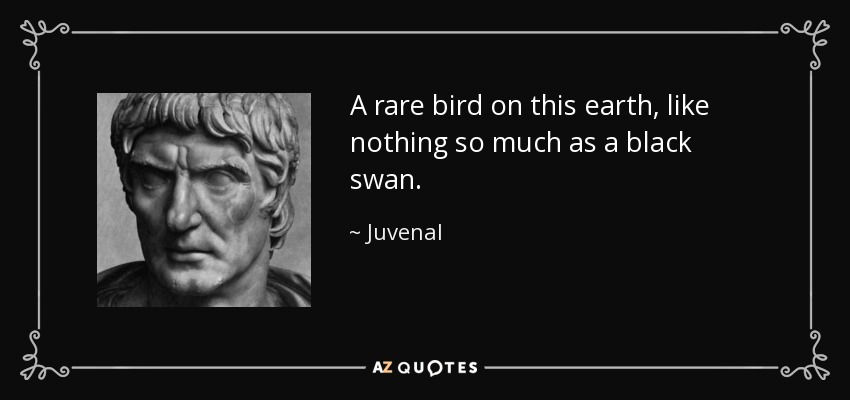 A rare bird on this earth, like nothing so much as a black swan. - Juvenal