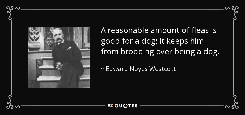 A reasonable amount of fleas is good for a dog; it keeps him from brooding over being a dog. - Edward Noyes Westcott