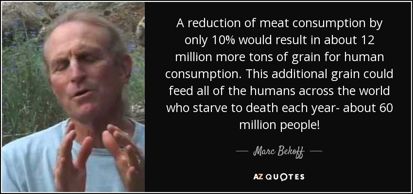 A reduction of meat consumption by only 10% would result in about 12 million more tons of grain for human consumption. This additional grain could feed all of the humans across the world who starve to death each year- about 60 million people! - Marc Bekoff