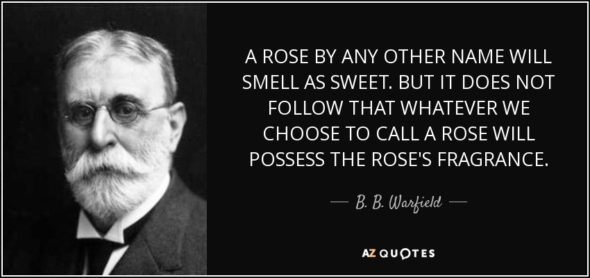 A ROSE BY ANY OTHER NAME WILL SMELL AS SWEET. BUT IT DOES NOT FOLLOW THAT WHATEVER WE CHOOSE TO CALL A ROSE WILL POSSESS THE ROSE'S FRAGRANCE. - B. B. Warfield