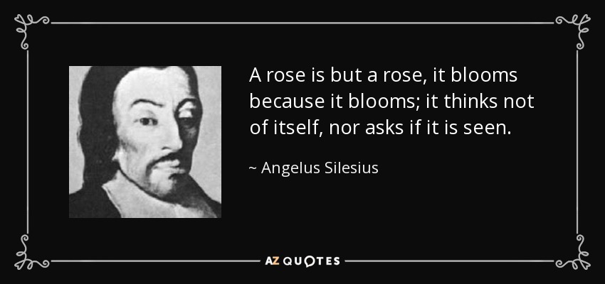 A rose is but a rose, it blooms because it blooms; it thinks not of itself, nor asks if it is seen. - Angelus Silesius