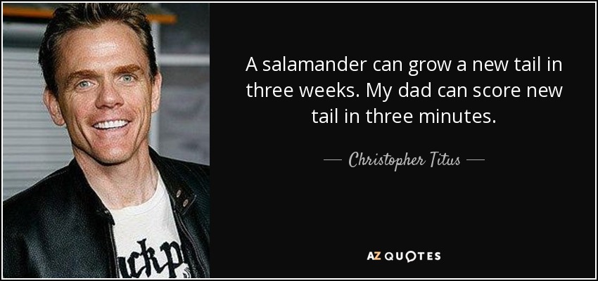 A salamander can grow a new tail in three weeks. My dad can score new tail in three minutes. - Christopher Titus
