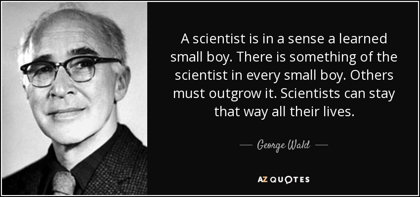 A scientist is in a sense a learned small boy. There is something of the scientist in every small boy. Others must outgrow it. Scientists can stay that way all their lives. - George Wald