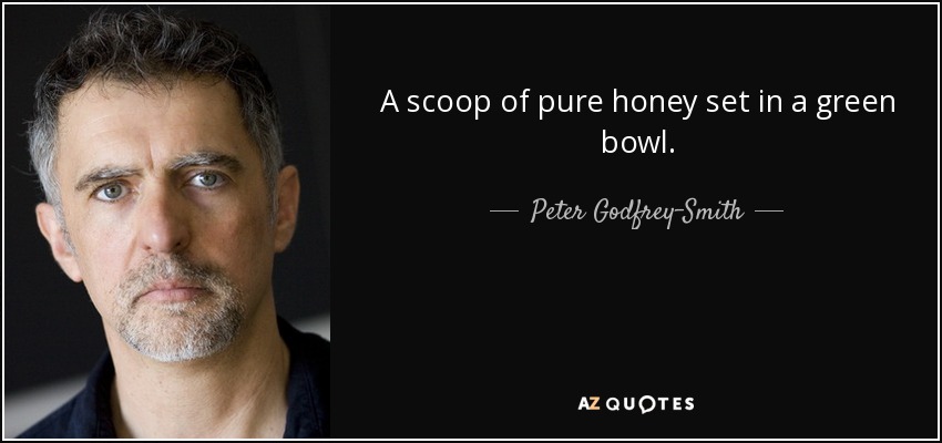 A scoop of pure honey set in a green bowl. - Peter Godfrey-Smith