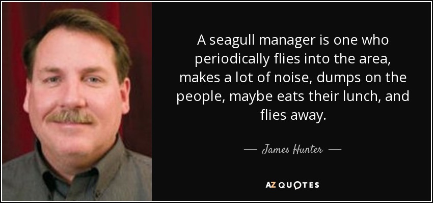 A seagull manager is one who periodically flies into the area, makes a lot of noise, dumps on the people, maybe eats their lunch, and flies away. - James Hunter