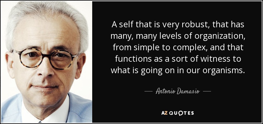 A self that is very robust, that has many, many levels of organization, from simple to complex, and that functions as a sort of witness to what is going on in our organisms. - Antonio Damasio