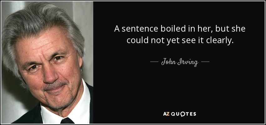 A sentence boiled in her, but she could not yet see it clearly. - John Irving