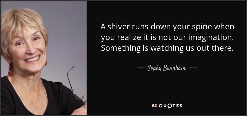 A shiver runs down your spine when you realize it is not our imagination. Something is watching us out there. - Sophy Burnham