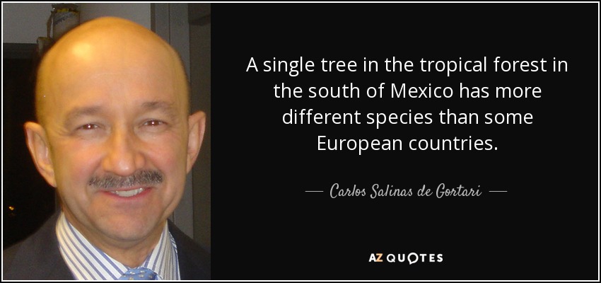 A single tree in the tropical forest in the south of Mexico has more different species than some European countries. - Carlos Salinas de Gortari
