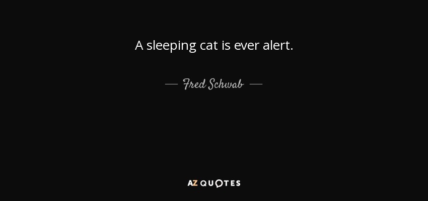A sleeping cat is ever alert. - Fred Schwab