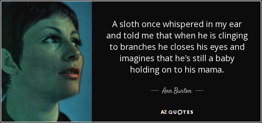 A sloth once whispered in my ear and told me that when he is clinging to branches he closes his eyes and imagines that he's still a baby holding on to his mama. - Ann Burton