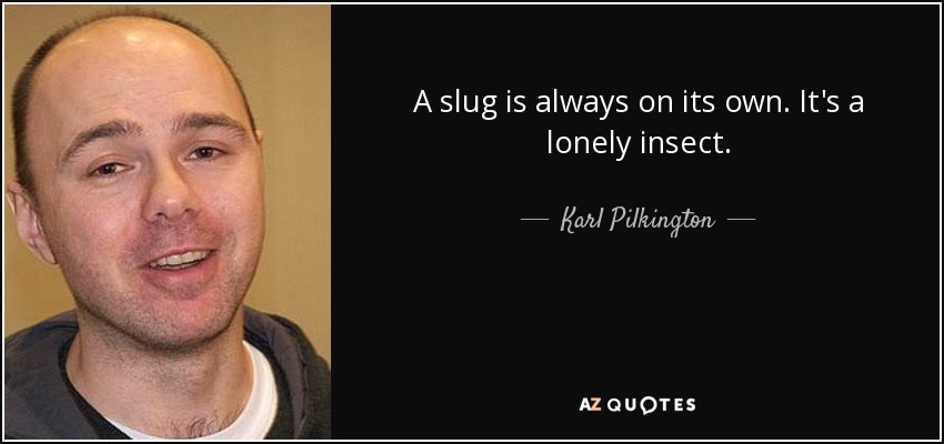 A slug is always on its own. It's a lonely insect. - Karl Pilkington
