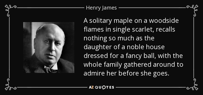 A solitary maple on a woodside flames in single scarlet, recalls nothing so much as the daughter of a noble house dressed for a fancy ball, with the whole family gathered around to admire her before she goes. - Henry James