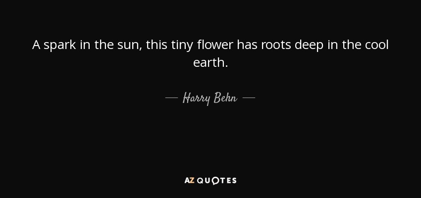 A spark in the sun, this tiny flower has roots deep in the cool earth. - Harry Behn