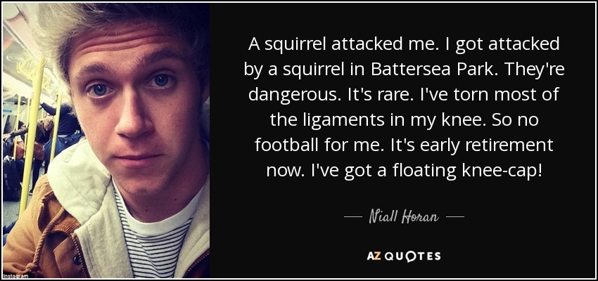 A squirrel attacked me. I got attacked by a squirrel in Battersea Park. They're dangerous. It's rare. I've torn most of the ligaments in my knee. So no football for me. It's early retirement now. I've got a floating knee-cap! - Niall Horan