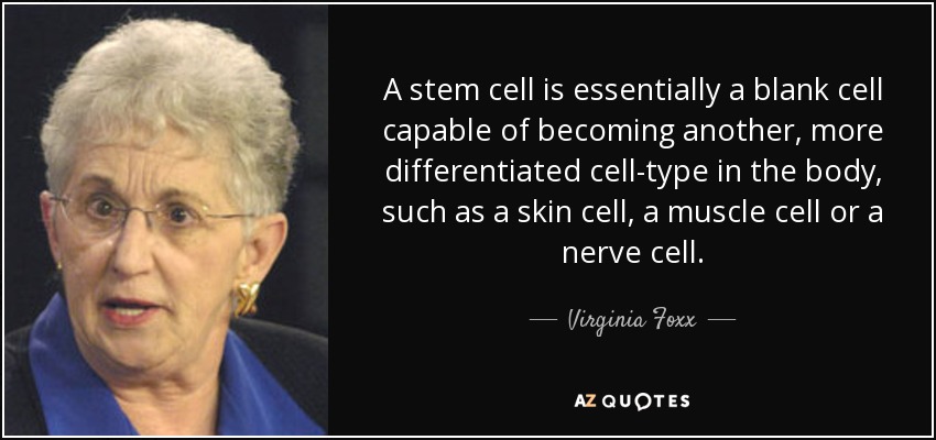 A stem cell is essentially a blank cell capable of becoming another, more differentiated cell-type in the body, such as a skin cell, a muscle cell or a nerve cell. - Virginia Foxx