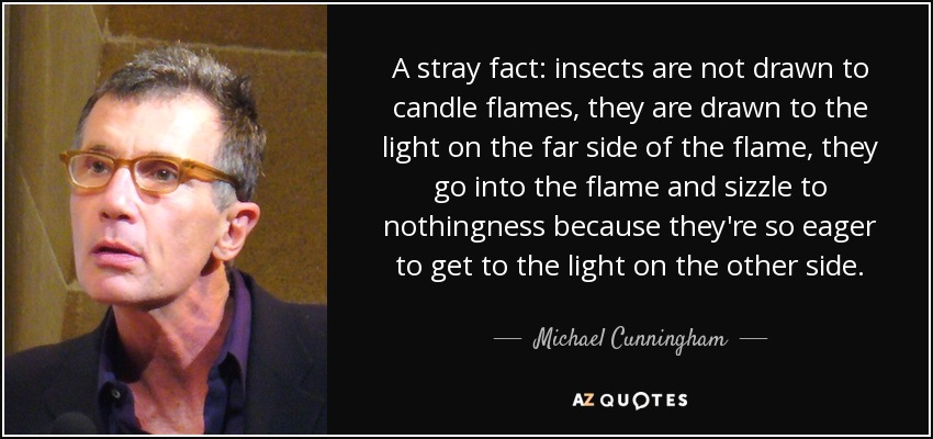 A stray fact: insects are not drawn to candle flames, they are drawn to the light on the far side of the flame, they go into the flame and sizzle to nothingness because they're so eager to get to the light on the other side. - Michael Cunningham