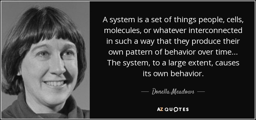 A system is a set of things people, cells, molecules, or whatever interconnected in such a way that they produce their own pattern of behavior over time... The system, to a large extent, causes its own behavior. - Donella Meadows