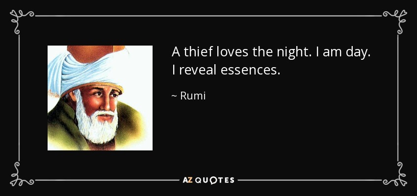 A thief loves the night. I am day. I reveal essences. - Rumi