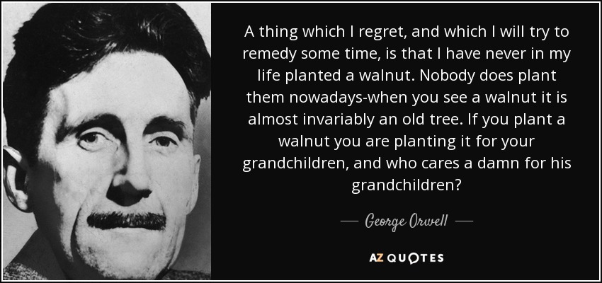 A thing which I regret, and which I will try to remedy some time, is that I have never in my life planted a walnut. Nobody does plant them nowadays-when you see a walnut it is almost invariably an old tree. If you plant a walnut you are planting it for your grandchildren, and who cares a damn for his grandchildren? - George Orwell