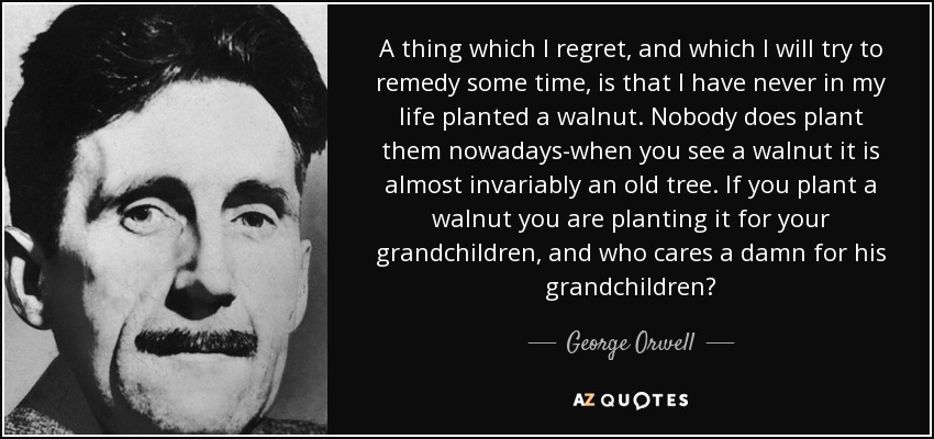 A thing which I regret, and which I will try to remedy some time, is that I have never in my life planted a walnut. Nobody does plant them nowadays-when you see a walnut it is almost invariably an old tree. If you plant a walnut you are planting it for your grandchildren, and who cares a damn for his grandchildren? - George Orwell