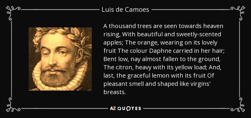 A thousand trees are seen towards heaven rising, With beautiful and sweetly-scented apples; The orange, wearing on its lovely fruit The colour Daphne carried in her hair; Bent low, nay almost fallen to the ground, The citron, heavy with its yellow load; And, last, the graceful lemon with its fruit Of pleasant smell and shaped like virgins' breasts. - Luis de Camoes