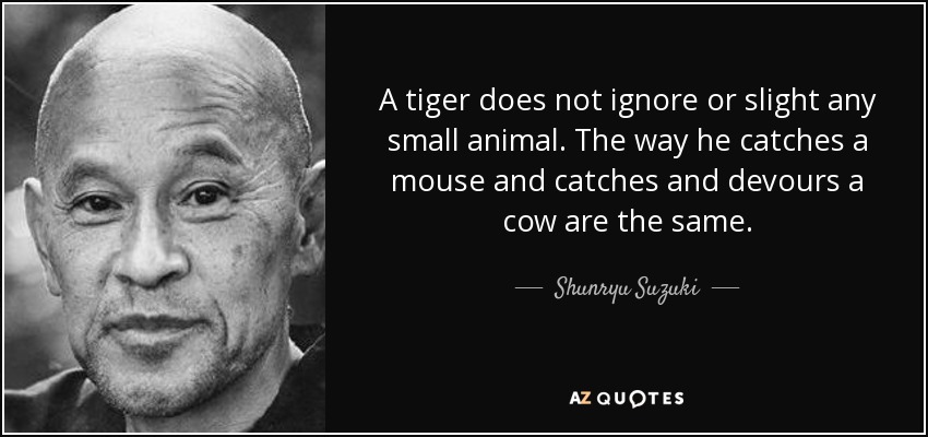 A tiger does not ignore or slight any small animal. The way he catches a mouse and catches and devours a cow are the same. - Shunryu Suzuki