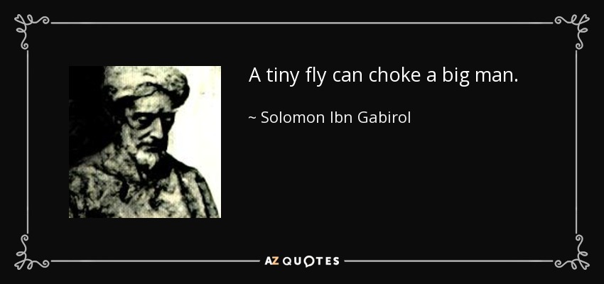 A tiny fly can choke a big man. - Solomon Ibn Gabirol