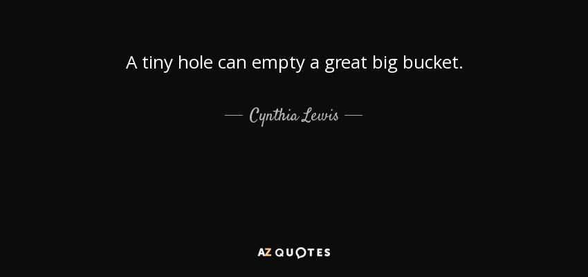 A tiny hole can empty a great big bucket. - Cynthia Lewis