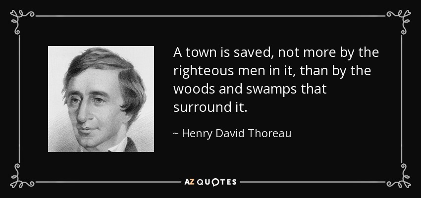 A town is saved, not more by the righteous men in it, than by the woods and swamps that surround it. - Henry David Thoreau