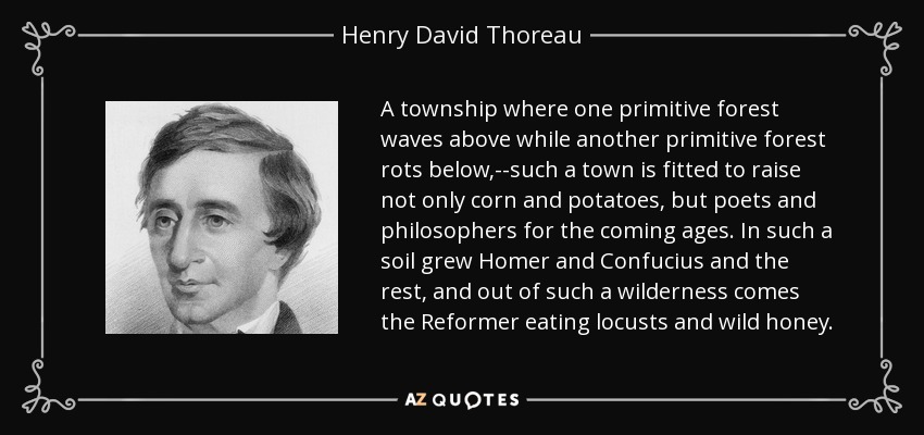 A township where one primitive forest waves above while another primitive forest rots below,--such a town is fitted to raise not only corn and potatoes, but poets and philosophers for the coming ages. In such a soil grew Homer and Confucius and the rest, and out of such a wilderness comes the Reformer eating locusts and wild honey. - Henry David Thoreau