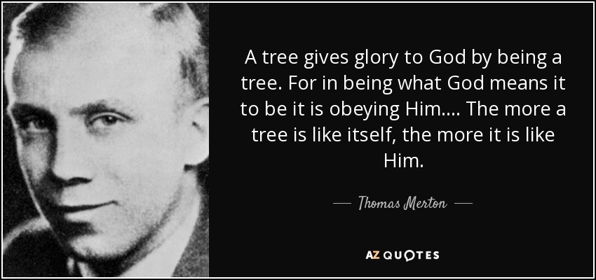 A tree gives glory to God by being a tree. For in being what God means it to be it is obeying Him.... The more a tree is like itself, the more it is like Him. - Thomas Merton