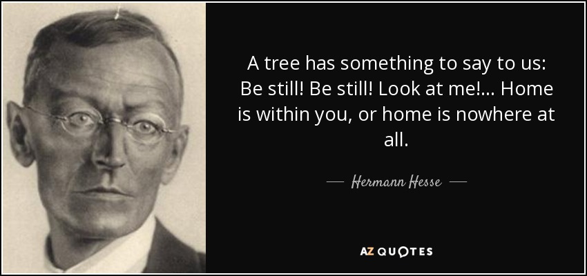 A tree has something to say to us: Be still! Be still! Look at me!... Home is within you, or home is nowhere at all. - Hermann Hesse